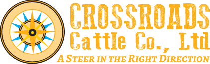 Crossroads Cattle